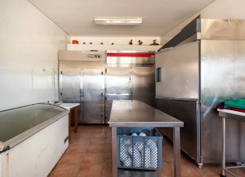 Quinta Histórica Século XIX com Negócio de Eventos Ativo e Rentável no Norte de Portugal