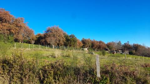 Terreno de construção