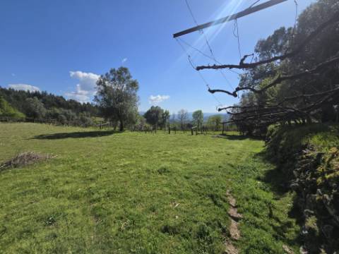 Quintinha em Gondoriz