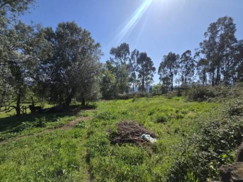 Quintinha em Gondoriz