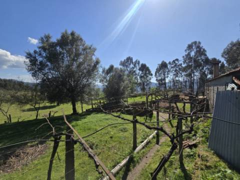 Quintinha em Gondoriz