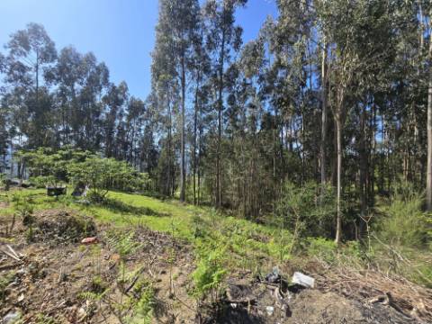 Quintinha em Gondoriz