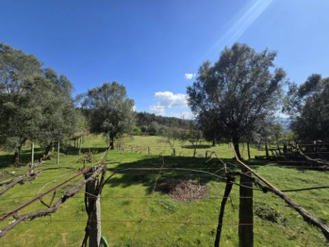 Quintinha em Gondoriz