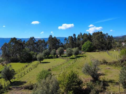 Quintinha em Gondoriz