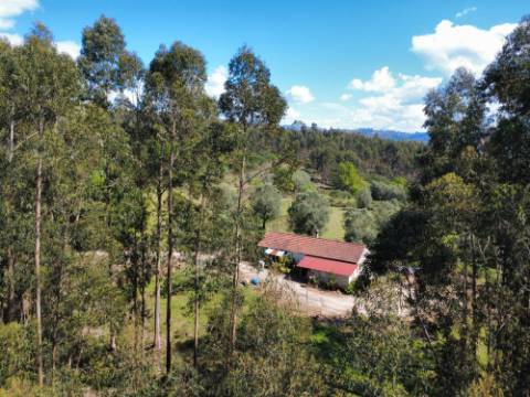 Quintinha em Gondoriz