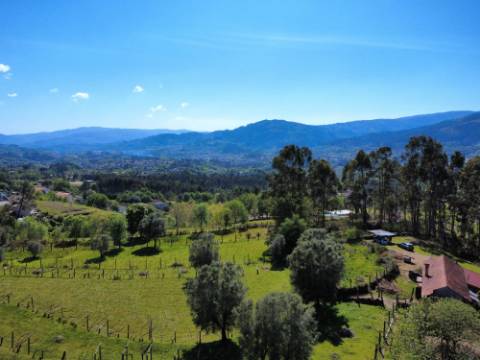 Quintinha em Gondoriz