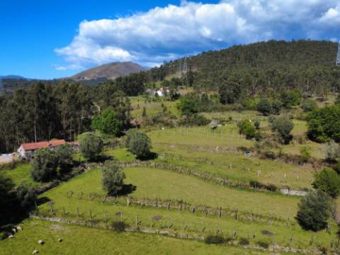Quintinha em Gondoriz