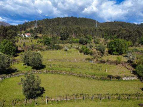 Quintinha em Gondoriz