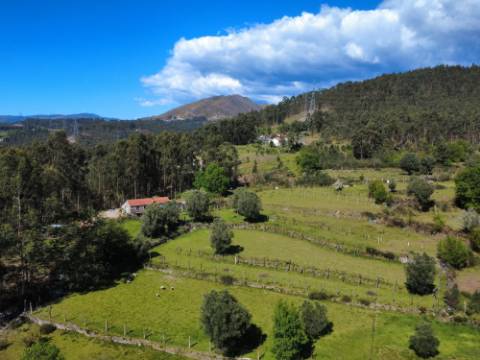Quintinha em Gondoriz