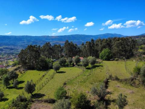 Quintinha em Gondoriz