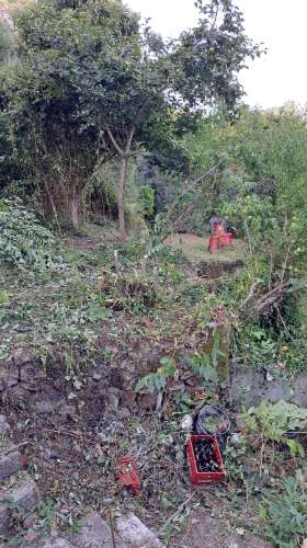 Casa de Aldeia com Terreno em Geraz do Lima
