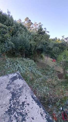 Casa de Aldeia com Terreno em Geraz do Lima