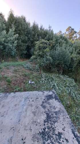Casa de Aldeia com Terreno em Geraz do Lima