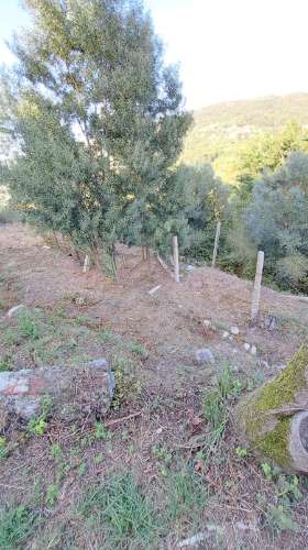 Casa de Aldeia com Terreno em Geraz do Lima