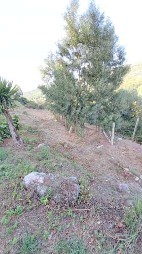 Casa de Aldeia com Terreno em Geraz do Lima