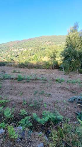 Casa de Aldeia com Terreno em Geraz do Lima