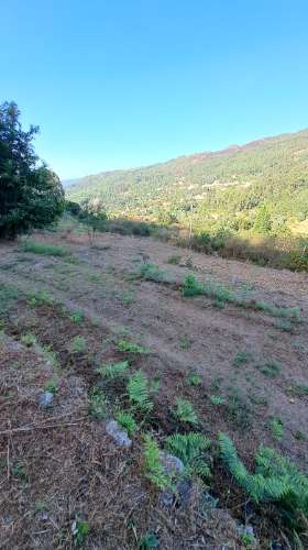 Casa de Aldeia com Terreno em Geraz do Lima