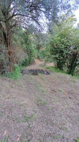 Casa de Aldeia com Terreno em Geraz do Lima