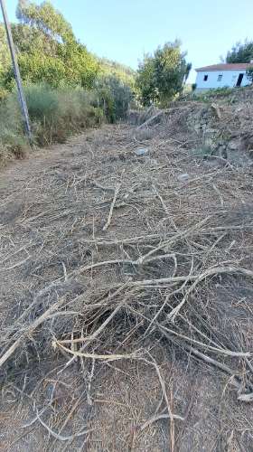 Casa de Aldeia com Terreno em Geraz do Lima