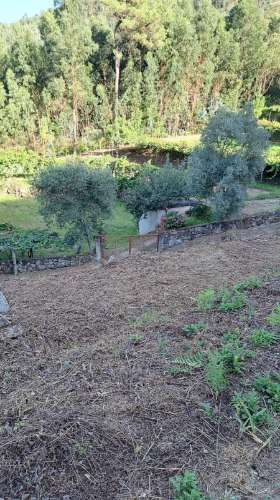 Casa de Aldeia com Terreno em Geraz do Lima