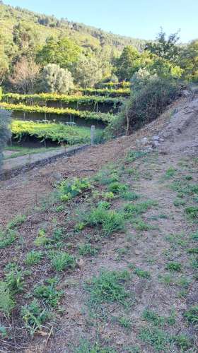Casa de Aldeia com Terreno em Geraz do Lima