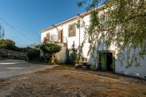Quinta em Deocriste com 12 ha de terreno