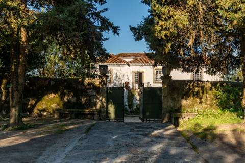 Quinta em Deocriste com 12 ha de terreno