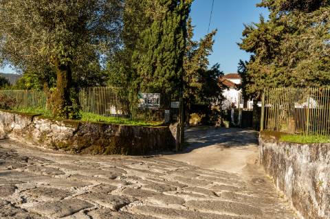 Quinta em Deocriste com 12 ha de terreno