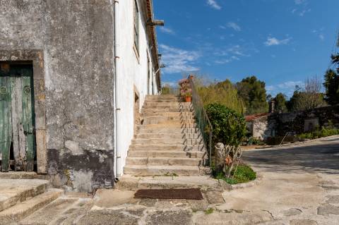 Quinta em Deocriste com 12 ha de terreno