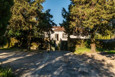 Quinta em Deocriste com 12 ha de terreno