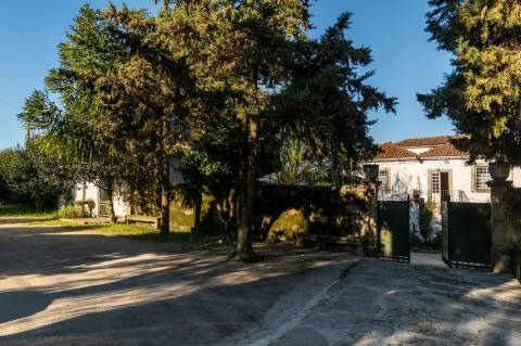Quinta em Deocriste com 12 ha de terreno