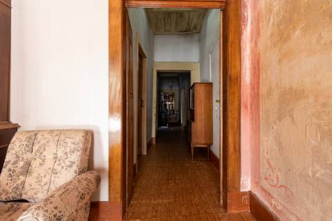 Quinta em Deocriste com 12 ha de terreno