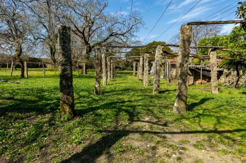 Quinta em Deocriste com 12 ha de terreno