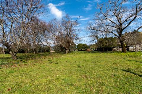 Quinta em Deocriste com 12 ha de terreno