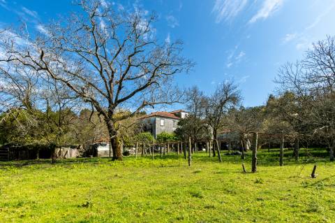 Quinta em Deocriste com 12 ha de terreno