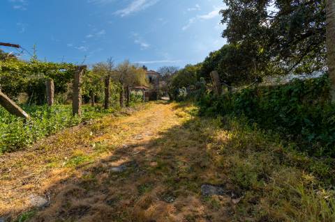 Quinta em Deocriste com 12 ha de terreno