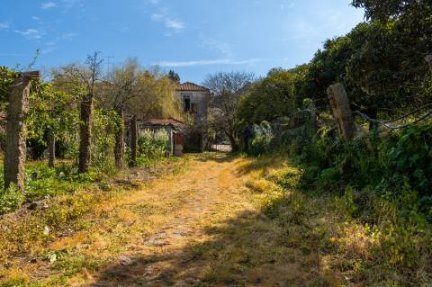 Quinta em Deocriste com 12 ha de terreno