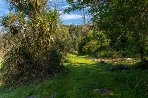 Quinta em Deocriste com 12 ha de terreno