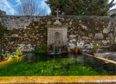 Quinta em Deocriste com 12 ha de terreno