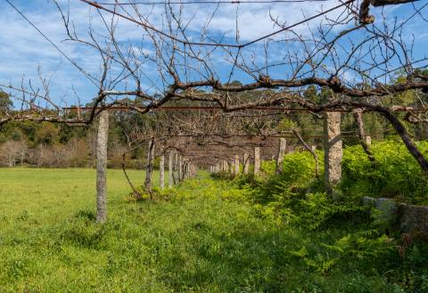 Quinta em Deocriste com 12 ha de terreno