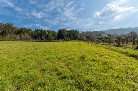 Quinta em Deocriste com 12 ha de terreno