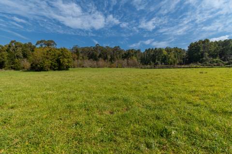 Quinta em Deocriste com 12 ha de terreno