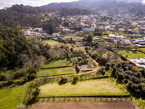 Quinta em Deocriste com 12 ha de terreno