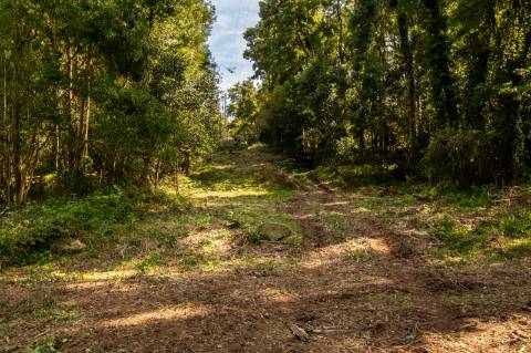 Quinta em Deocriste com 12 ha de terreno