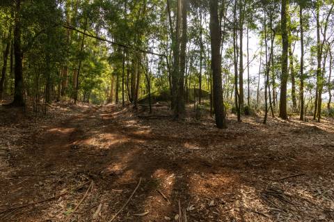 Quinta em Deocriste com 12 ha de terreno