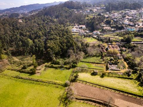 Quinta em Deocriste com 12 ha de terreno