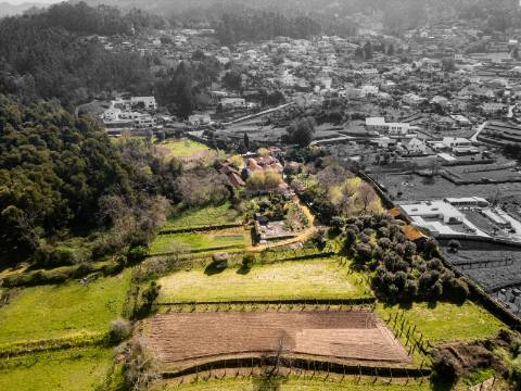 Quinta em Deocriste com 12 ha de terreno