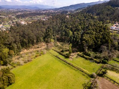 Quinta em Deocriste com 12 ha de terreno