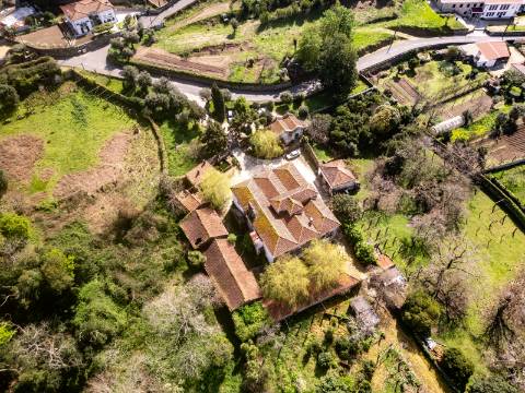 Quinta em Deocriste com 12 ha de terreno
