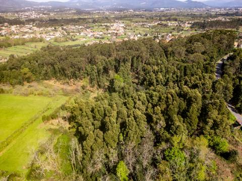 Quinta em Deocriste com 12 ha de terreno
